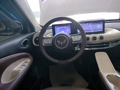 Wuling Binguo 2025 333km Joy Edition - ფოტო 11