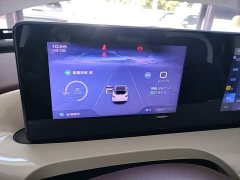 Wuling Binguo 2025 333km Joy Edition - ფოტო 12