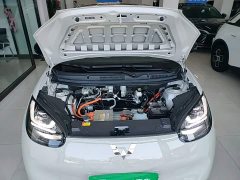 Wuling Binguo 2025 333km Joy Edition - ფოტო 20