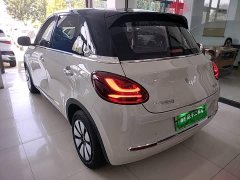 Wuling Binguo 2025 333km Joy Edition - ფოტო 5