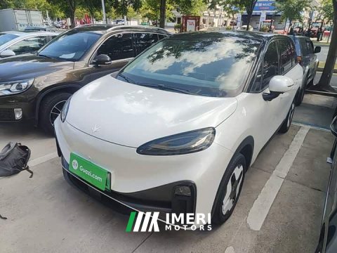 2024 Arcfox Koala 2023 Family Pro - ავტომობილი ჩინეთიდან