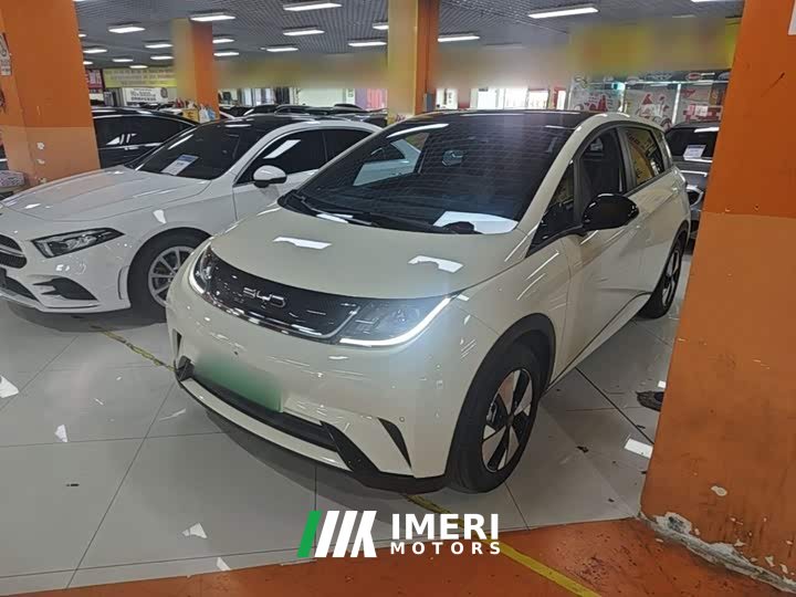 BYD Dolphin 420km Fashion Edition - ავტომობილი ჩინეთიდან