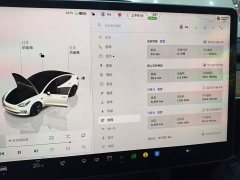 Tesla Model 3 2022 Rear-Wheel Drive - ფოტო 12