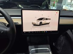 Tesla Model 3 2022 Rear-Wheel Drive - ფოტო 13