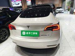 Tesla Model 3 2022 Rear-Wheel Drive - ფოტო 6
