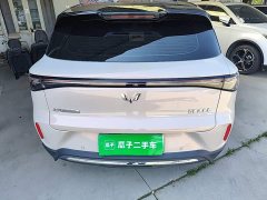 Wuling Bingo S 430km Flagship - ფოტო 6