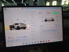 Nio Lerado L60 2024 60kWh Rear-Wheel Drive - ფოტო 12
