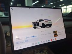 Nio Lerado L60 2024 60kWh Rear-Wheel Drive - ფოტო 13