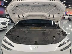 Nio Lerado L60 2024 60kWh Rear-Wheel Drive - ფოტო 20