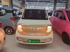 FAW Besturn Xiaoma 222km Dynamic Edition - ფოტო 3