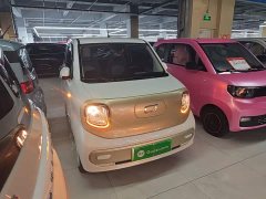FAW Besturn Xiaoma 222km Dynamic Edition - ფოტო 4