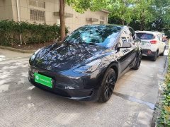 Tesla Model Y Long Range All-Wheel Drive - ფოტო 2