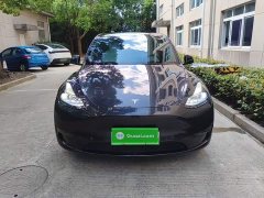 Tesla Model Y Long Range All-Wheel Drive - ფოტო 3