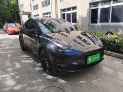 Tesla Model Y Long Range All-Wheel Drive - ფოტო 4