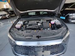 BYD Qin PLUS Glory Edition DM-i 55KM Leading - ფოტო 20