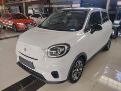 Leapmotor Leapo T03 400 Luxury Edition - ფოტო 1