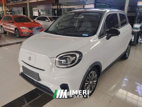 2021 Leapmotor Leapo T03 400 Luxury Edition - ავტომობილი ჩინეთიდან