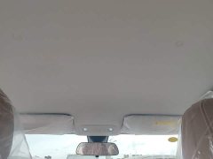 Wuling Bingguo S 2025 325km Deluxe Edition - ფოტო 18