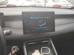 BYD Qin PLUS DM-i Smart Drive Edition 55KM Leading - ფოტო 13
