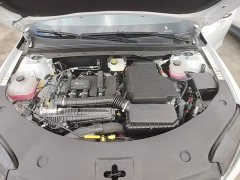 BYD Qin PLUS DM-i Smart Drive Edition 55KM Leading - ფოტო 20