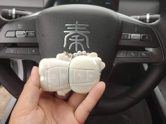 BYD Qin PLUS DM-i Smart Drive Edition 55KM Leading - ფოტო 9