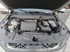 Haval Big Dog PLUS 1.5T Two-Wheel Drive Trendy Wilderness Edition Plus - ფოტო 20