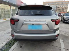 Haval Big Dog PLUS 1.5T Two-Wheel Drive Trendy Wilderness Edition Plus - ფოტო 6
