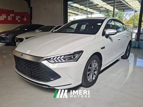 2024 BYD Qin PLUS Glory Edition DM-i 55KM Leading