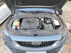 Geely Xingrui 2021 2.0T Diesel Luxury - ფოტო 20