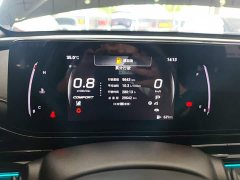 Trumpchi Leopard 270T DCT J15 - ფოტო 12