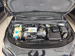 Trumpchi Leopard 270T DCT J15 - ფოტო 20