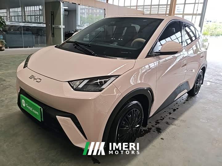 BYD Seagull Glory Edition 305km Vitality Version - ავტომობილი ჩინეთიდან