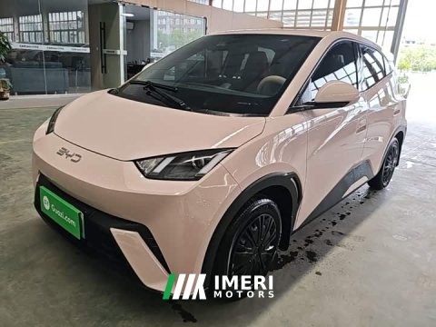 2024 BYD Seagull Glory Edition 305km Vitality Version - ავტომობილი ჩინეთიდან