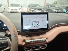 BYD Seagull Glory Edition 305km Vitality Version - ფოტო 13