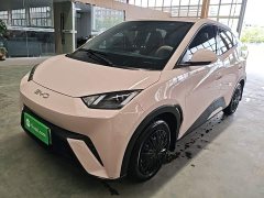 BYD Seagull Glory Edition 305km Vitality Version - ფოტო 2