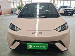 BYD Seagull Glory Edition 305km Vitality Version - ფოტო 3