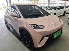 BYD Seagull Glory Edition 305km Vitality Version - ფოტო 4