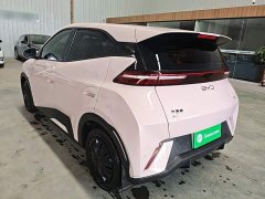 BYD Seagull Glory Edition 305km Vitality Version - ფოტო 5