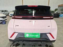 BYD Seagull Glory Edition 305km Vitality Version - ფოტო 6