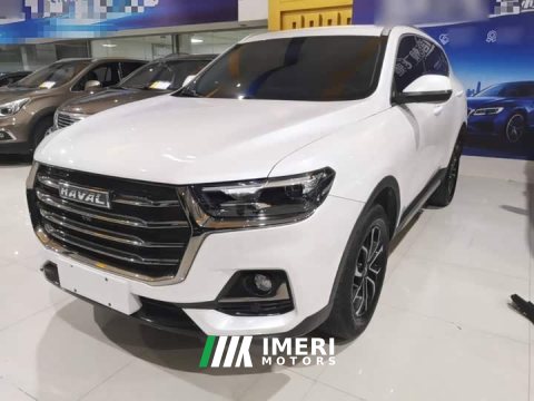 2023 Haval H6 2021 National Trend Edition 1.5T Automatic Urban Version - ავტომობილი ჩინეთიდან