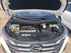 GAC Aion M6 270T DCT Luxury 7-Seater - ფოტო 20