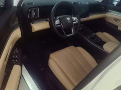 BYD Song Pro New Energy 2nd Generation Smart Driving DM-i 75KM Leading Edition - ფოტო 15