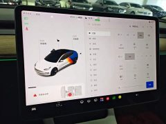 Tesla Model 3 Standard Range RWD Upgrade - ფოტო 13