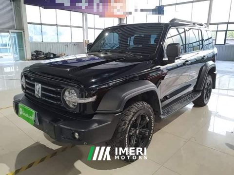 2023 Tank 300 Off-Road Edition 2.0T Conqueror - ავტომობილი ჩინეთიდან
