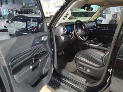 Tank 300 Off-Road Edition 2.0T Conqueror - ფოტო 16