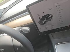 Tesla Model 3 Rear-Wheel Drive - ფოტო 14