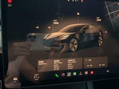 Tesla Model 3 Rear-Wheel Drive - ფოტო 12