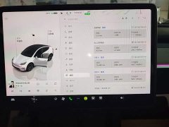 Tesla Model Y Rear-Wheel Drive - ფოტო 12