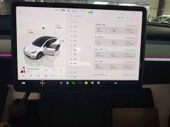 Tesla Model Y Rear-Wheel Drive - ფოტო 13