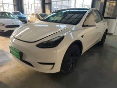 Tesla Model Y Rear-Wheel Drive - ფოტო 2